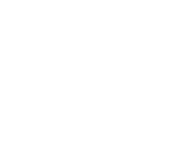 Lowcountry Hydro Clean